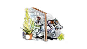 Die Eigentore der Politiker