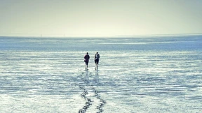 Wattfieber bei Nipptide