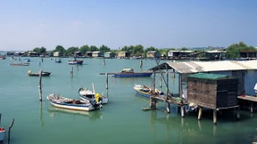 Der Waller mag es ein bisschen dreckig  