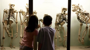 Im Epizentrum der Exzentrik