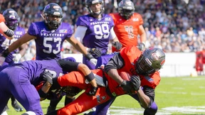 Ratten im „lila Paradies“