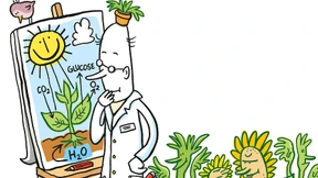 Nur noch kurz die Welt retten