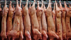 Verbot von Leiharbeit und Werkverträgen auf Schlachthöfen