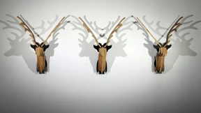 Der Zwei-Zimmer-Landsitz