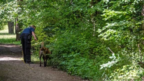 Verdächtiger in München soll in U-Haft