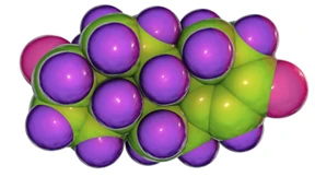 Warum spielen Mädchen mit Puppen, während Jungen sich balgen?