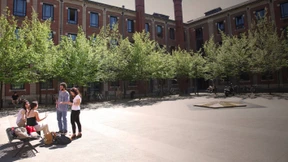 Büffeln beim Nobelpreisträger