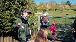 Rote Federn dank Paprikapulver