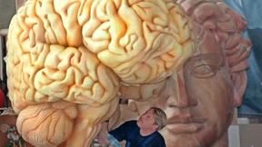 Beobachter des Gehirns