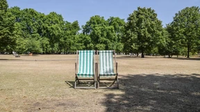 Der englische Rasen verdorrt