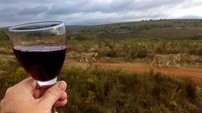 Jenseits von Gnu und Löwe