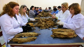 Zigarrenrollen in Zeiten des Bürgerkriegs 