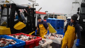 „Johnson hat uns betrogen“