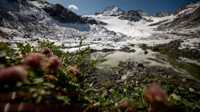 Die schmelzenden Archive des Klimas