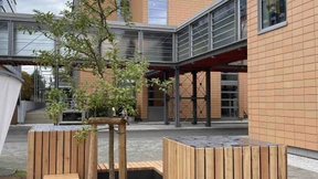 Frankfurt setzt auf die blumengießende Funklaterne