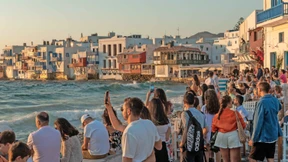 Die Baumafia auf der Luxusinsel