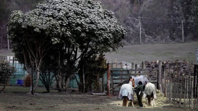 Vulkan auf Neuseelands Nordinsel bricht aus