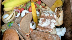 Auf den Teller statt in den Mülleimer