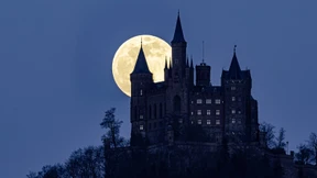 Die PR-Kampagne der Hohenzollern