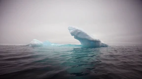 Das Öl ist spottbillig