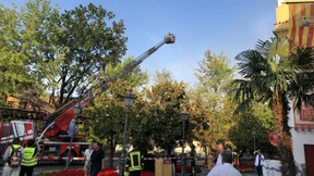 Technischer Defekt wohl Ursache für Brand in Europa-Park