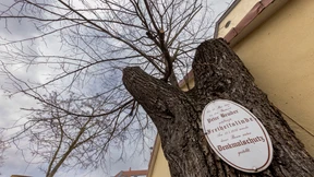 Mit 27 Stelen durch den Kreis