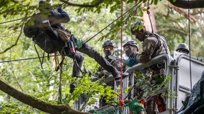 Erst die Castoren, dann der Forst