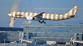 Partner für Condor gesucht