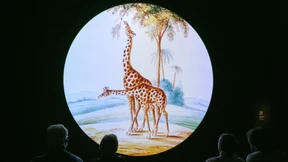 Am Lieblingsort von Tom Hanks