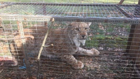 Gleich wieder ausgebüxt