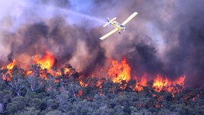 Eine Tote bei Buschbränden
