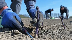 Wo die Biobauern das Sagen haben
