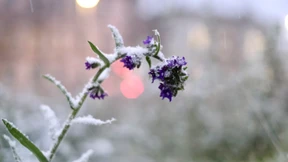 Wintereinbruch am Wochenende bringt Schnee