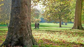 Frankfurter lieben ihre Parks