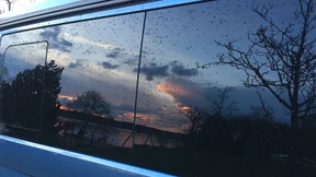 Acapulco liegt auch in Brandenburg