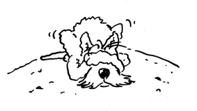 Mit Geduld und Gebell