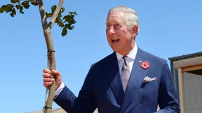 Prince Charles Looking at Things