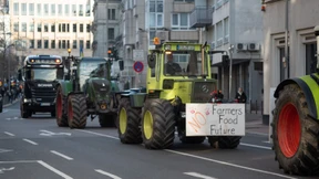 Trittbrettfahrer schaden sich selbst