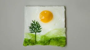 „Ein Ei pro Woche entspricht dem üblichen Verzehr“