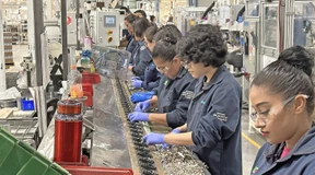 Alle wollen nach Mexiko