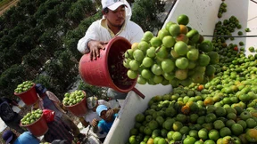 Amerika holt Tausende Arbeitskräfte aus dem Ausland