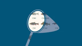 Eine Klingel für den Fisch