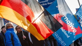 Länder fordern systematische AfD-Beobachtung