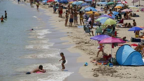 Die stachellose Sau rauslassen