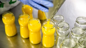 Früchte für Konfitüren und Konserven „knapp wie nie“