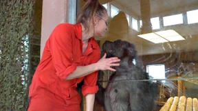 Was von der Forschung übrig bleibt