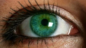 Diabetes auf der Spur