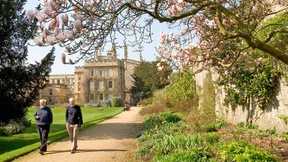 „Ein ökologischer Garten ist nicht schön“