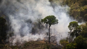 Freier Handel, aber nur bei Garantien für den Regenwald