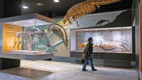 Museumsbesuch für Kapitalanleger